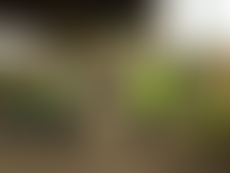 Retiran más de 700 toneladas de basura de vialidades principales de Ecatepec