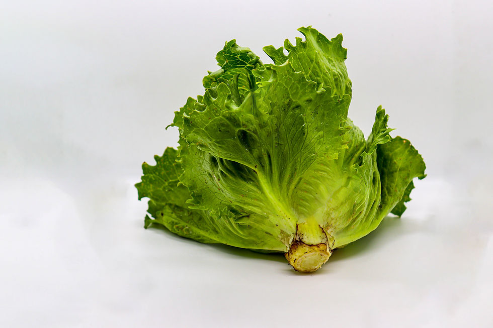 Miniatura: Lechuga Iceberg