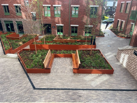 Project Completion: Guildford Plaza