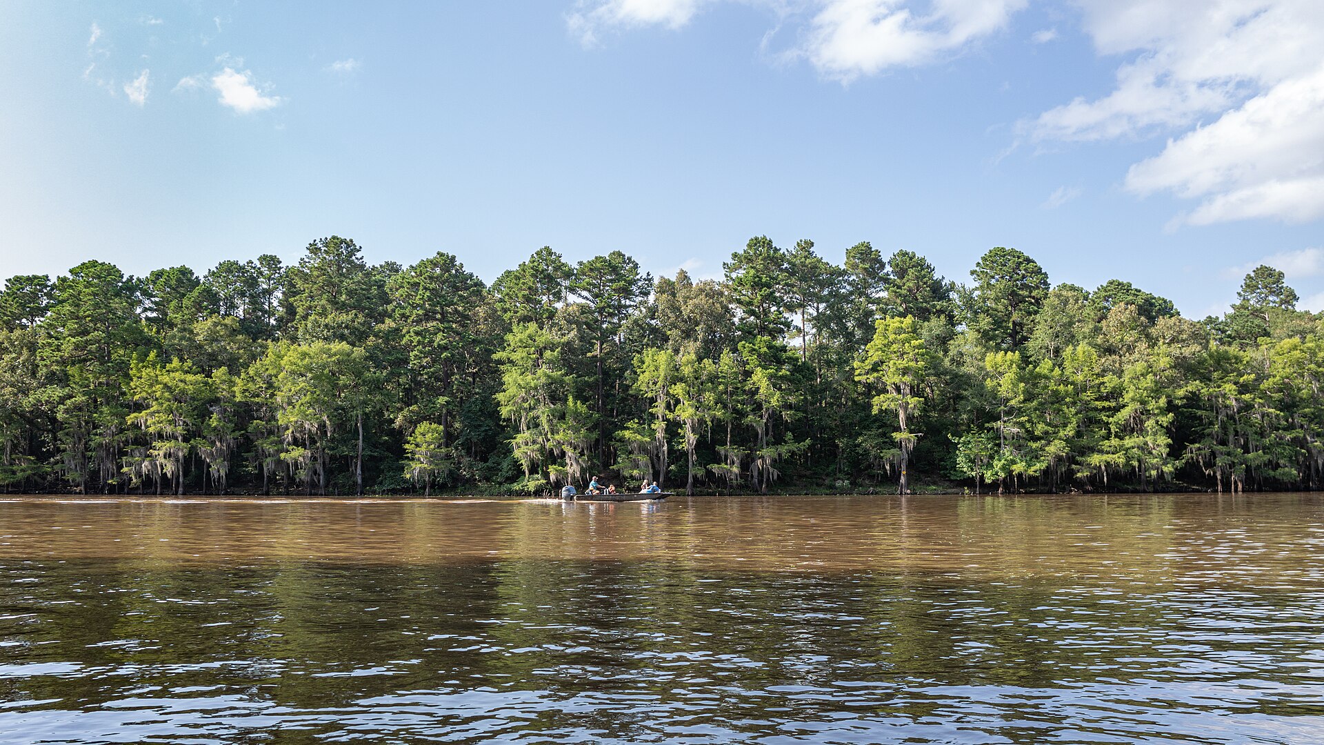 Caddo Lake Texas cypress, empty of people