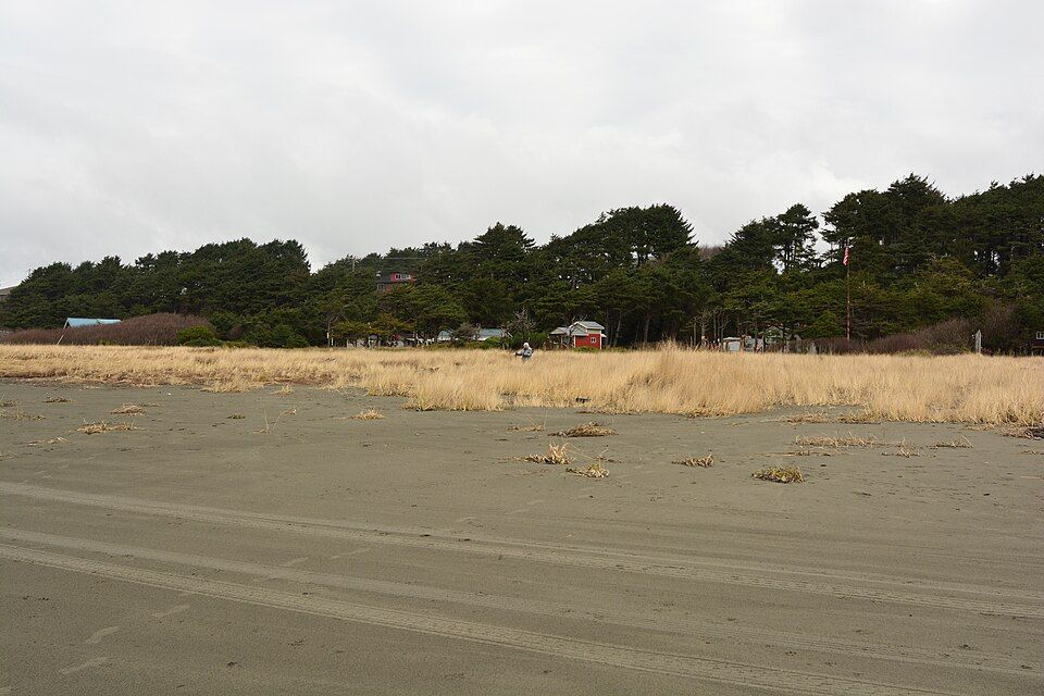 Sandy beach, dune grass, and evergreen tree line near homes in Copalis Beach, Washington