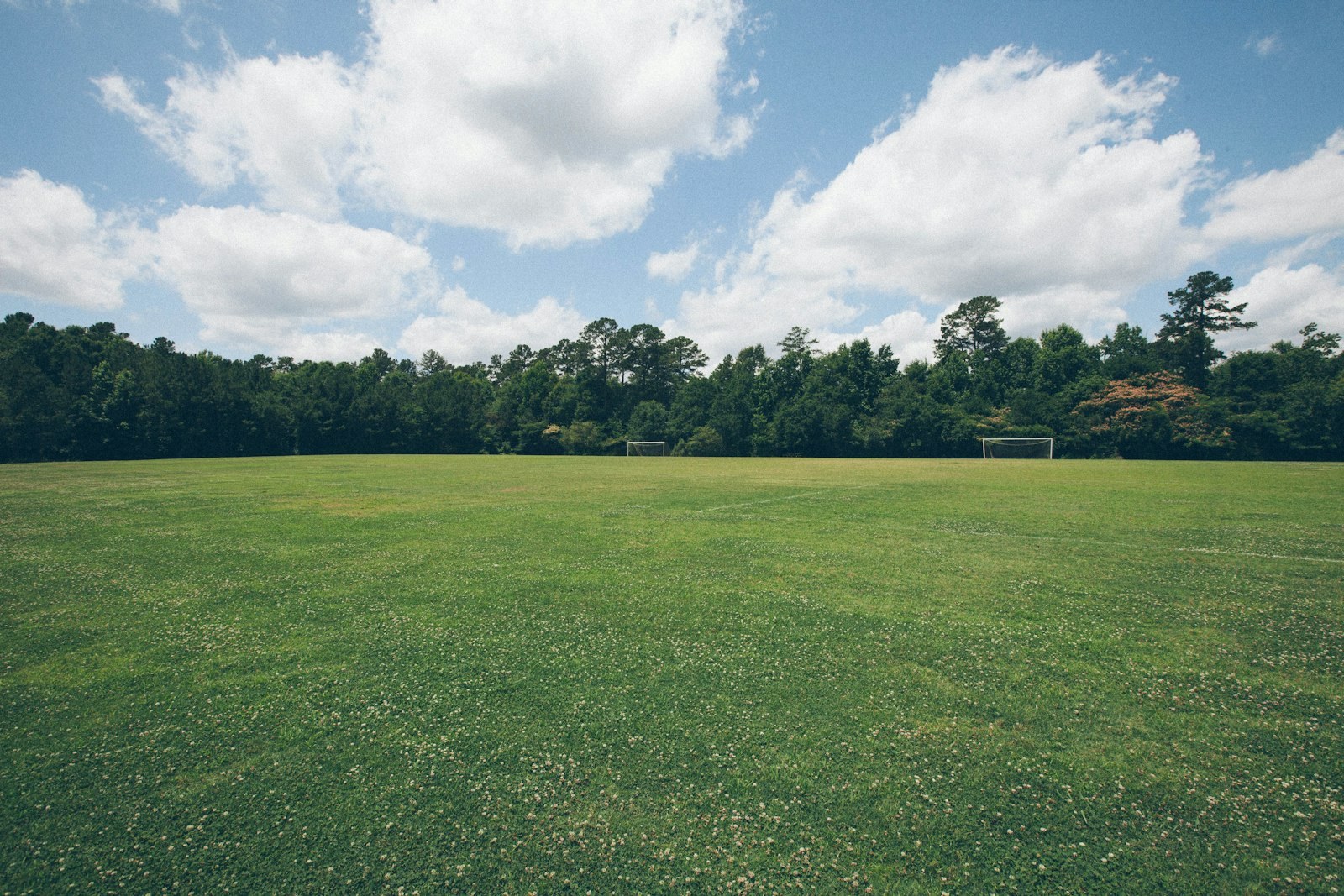 green grass field, empty of people