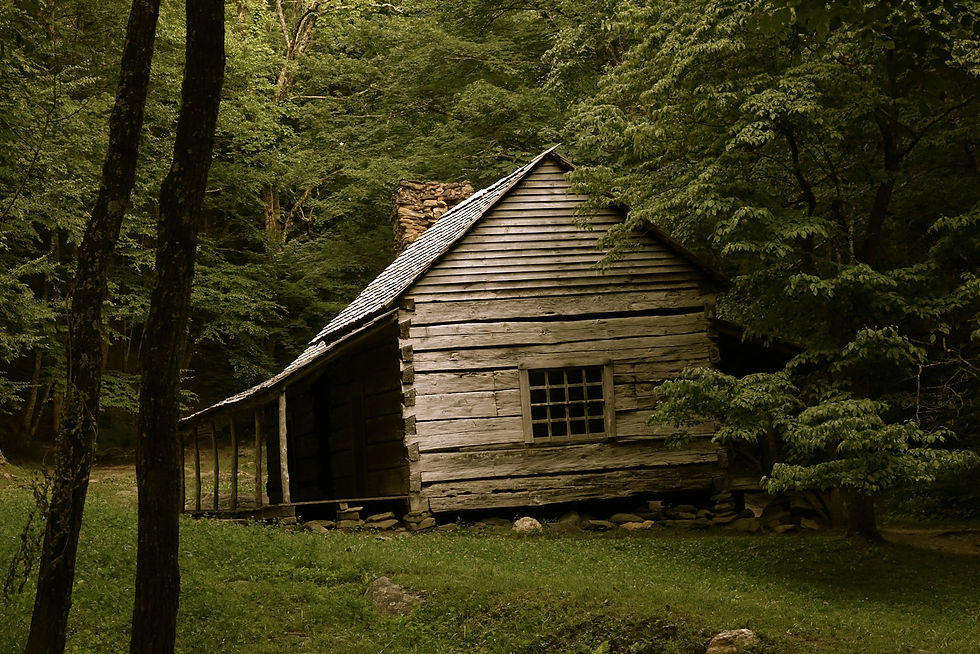 Weathered log cabin surrounded by green forest and grass in the Smoky Mountains of Tennessee