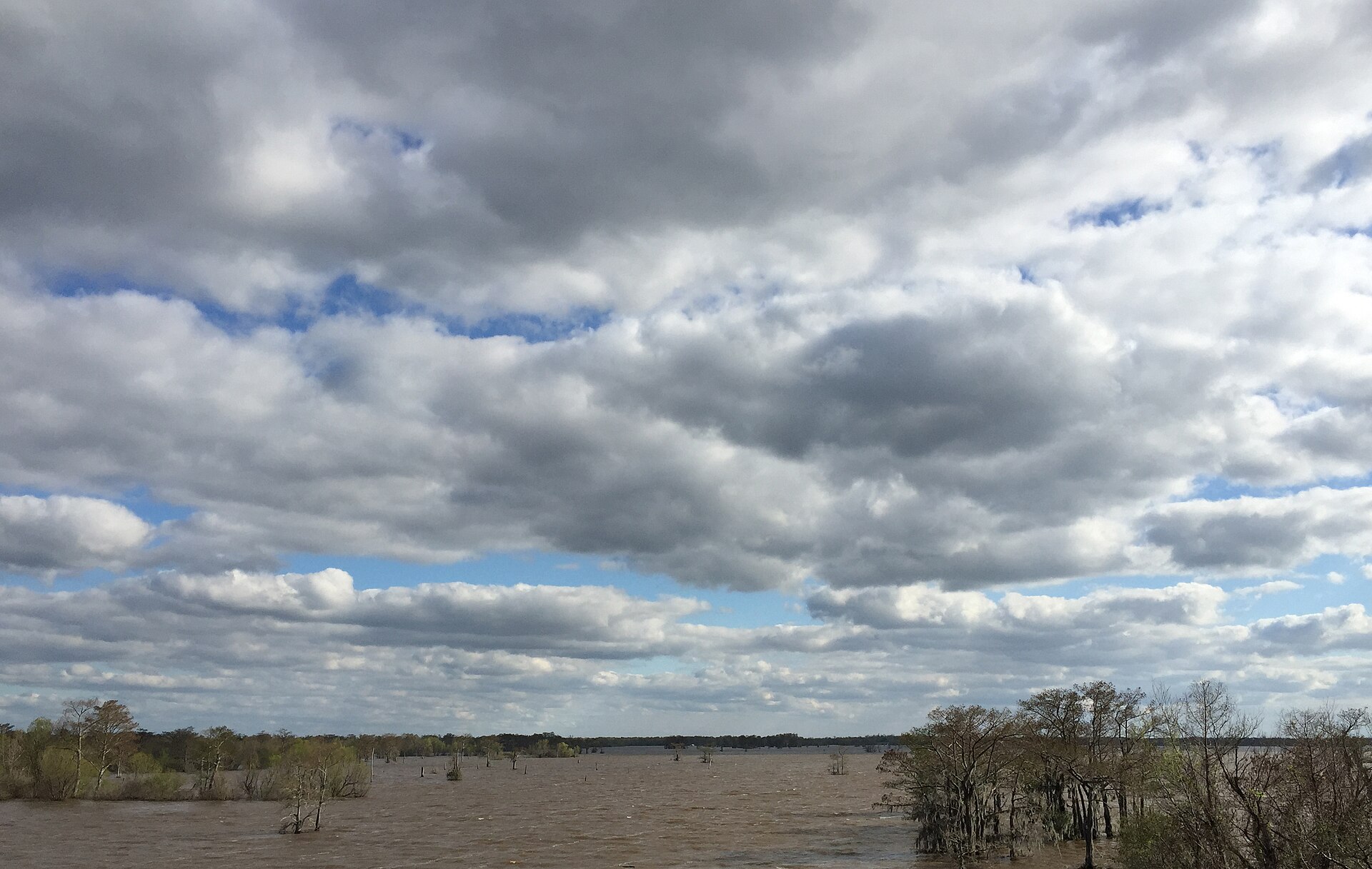 Atchafalaya Basin Louisiana swamp, empty of people