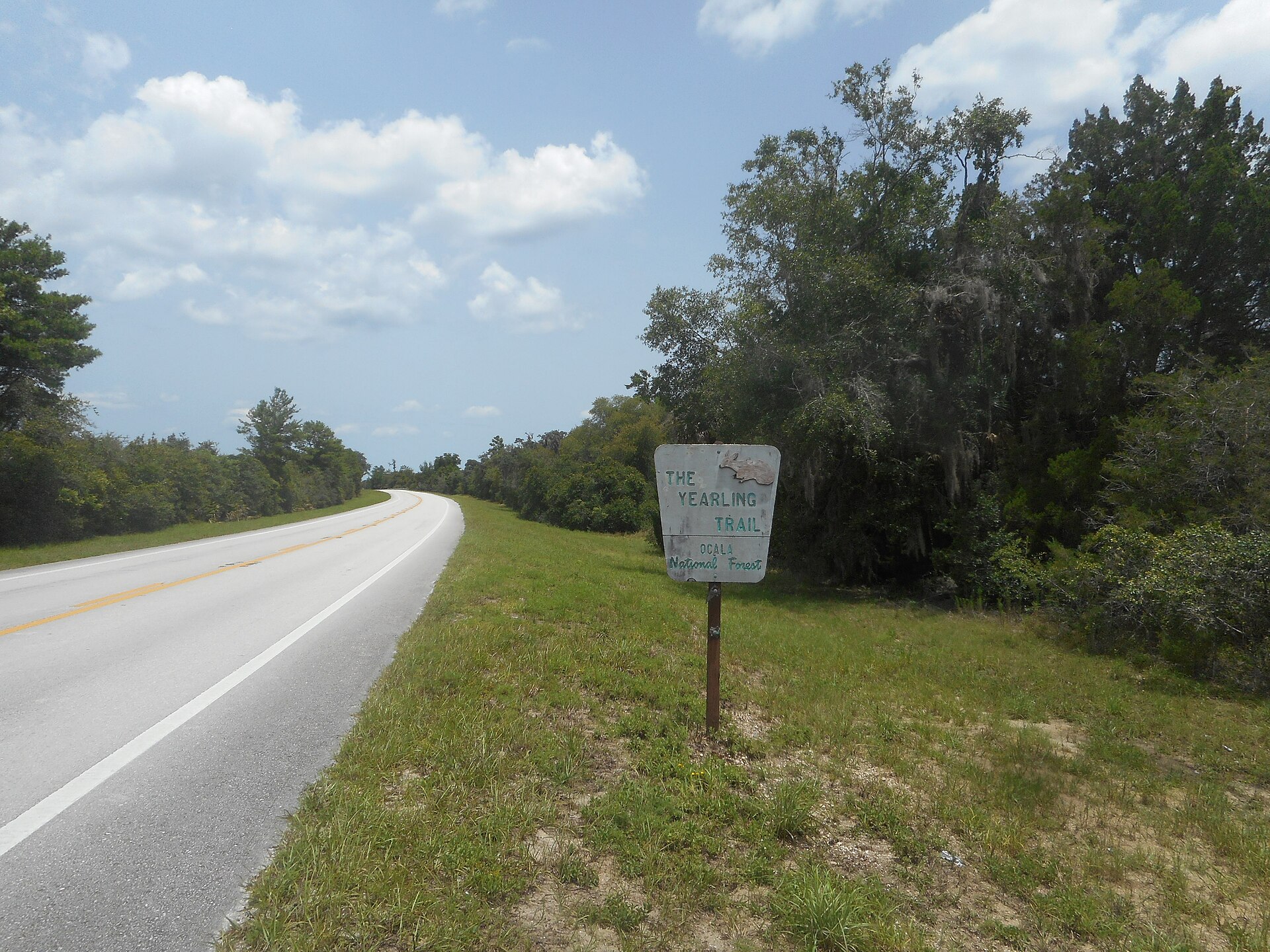 Ocala National Forest trail, empty of people