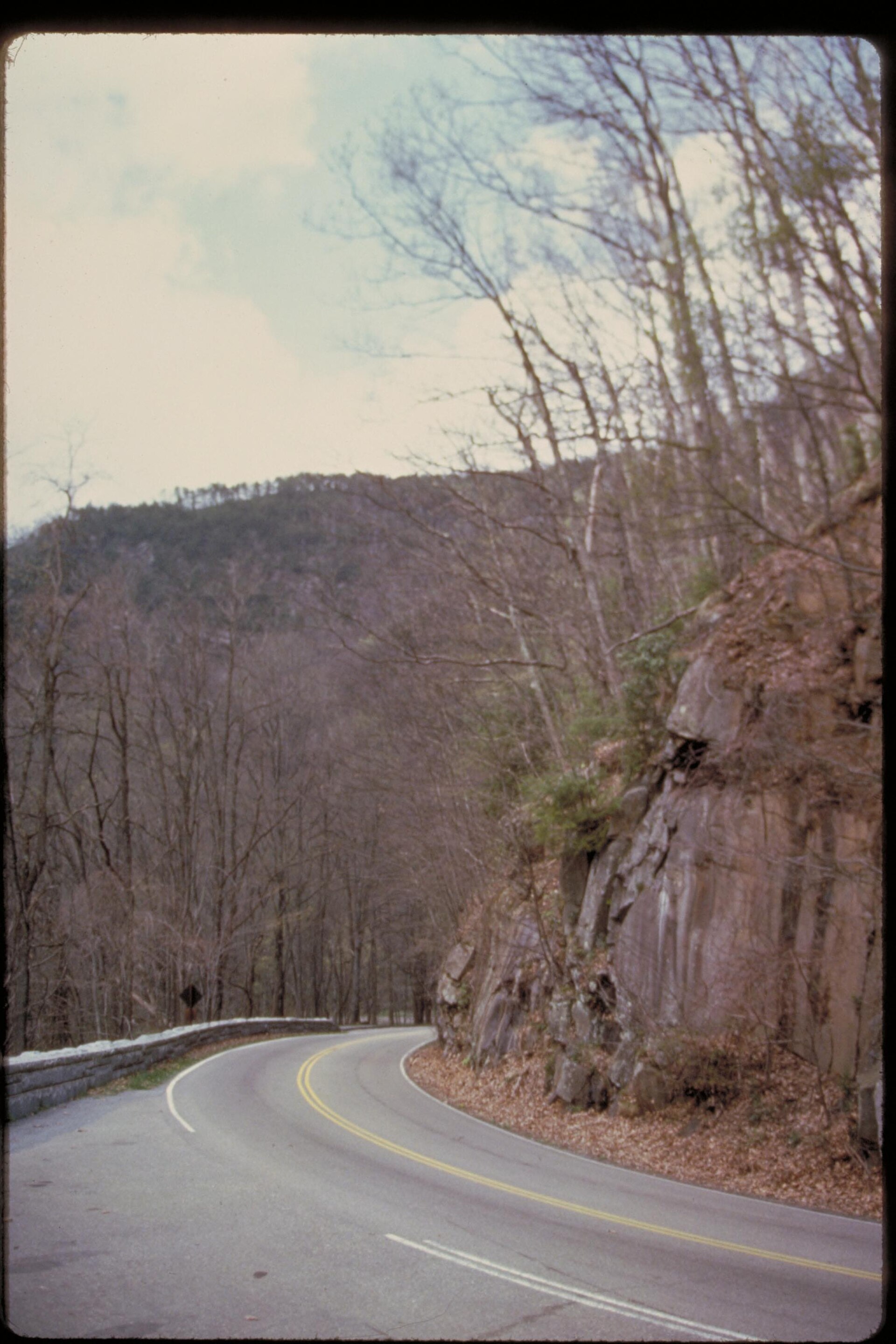 Great Smoky Mountains Tennessee forest, empty of people