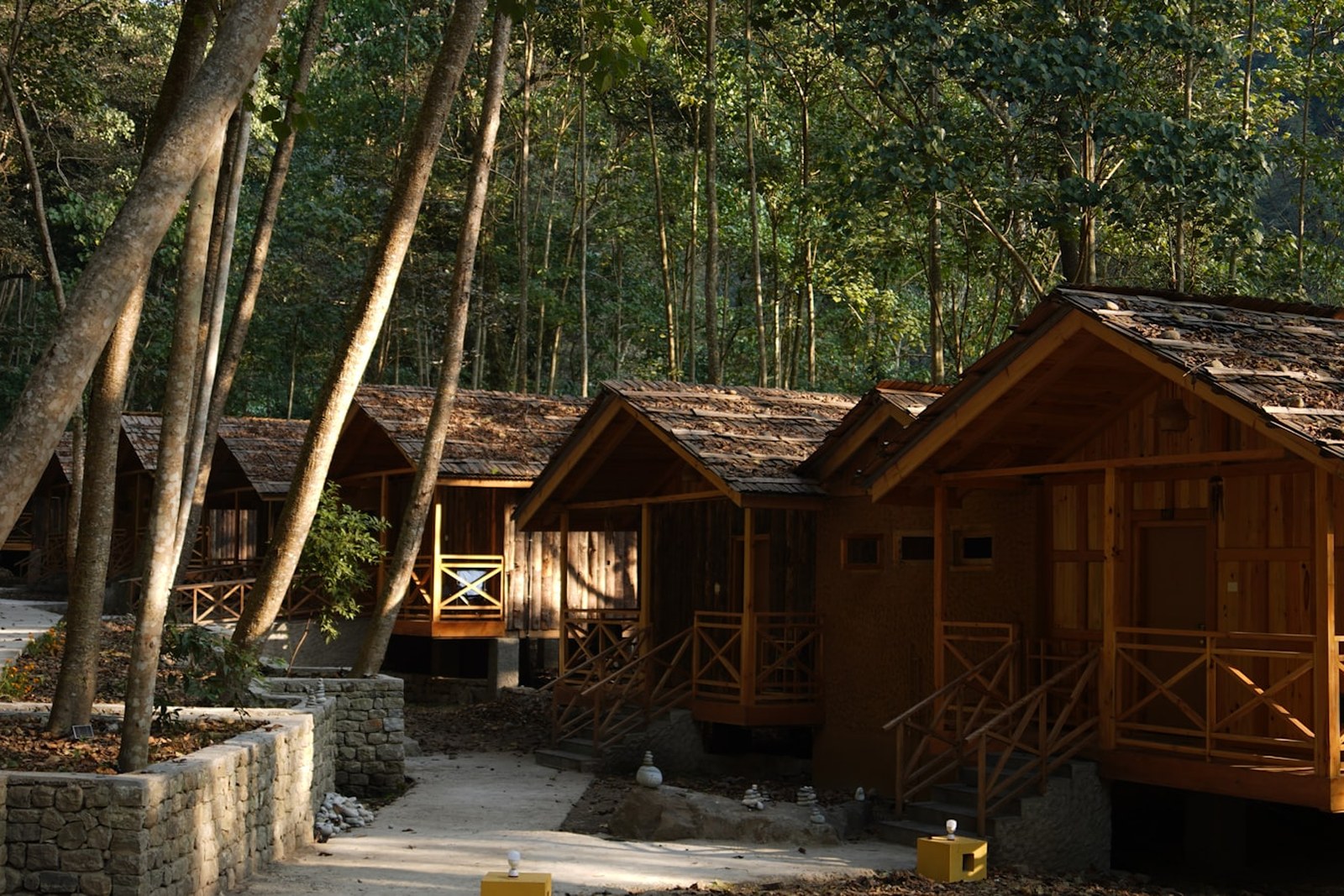 Wooden cabins nestled among trees in a forest, empty of people