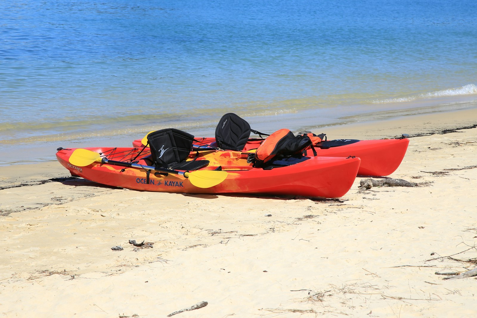 red kayak on white sand beach during daytime, empty of people