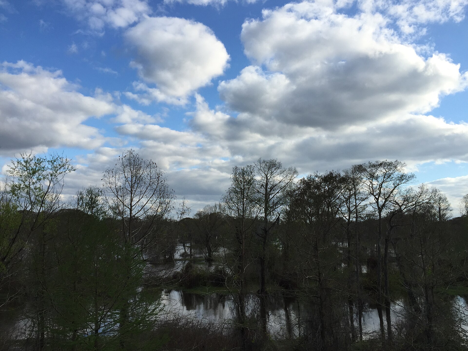 Atchafalaya Basin Louisiana swamp, empty of people