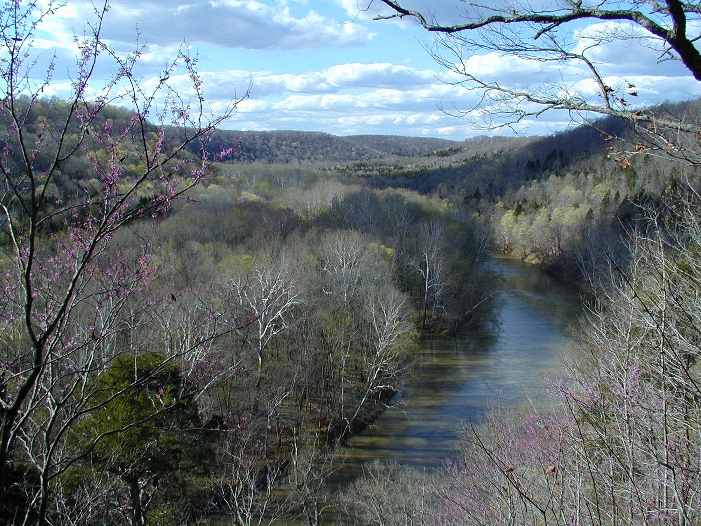 Green River valley seen from a ridge in redbud bloom