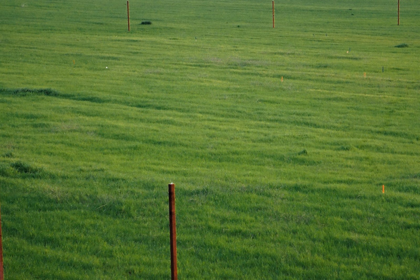 a green field with a fence in the middle of it, empty of people
