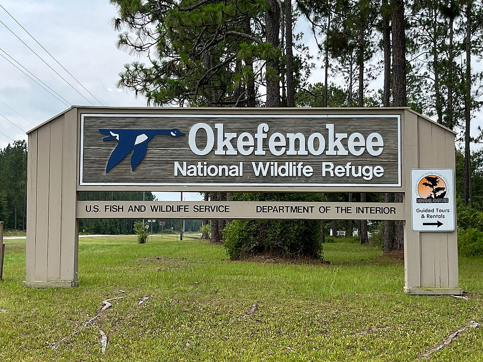 Okefenokee Swamp Georgia, empty of people