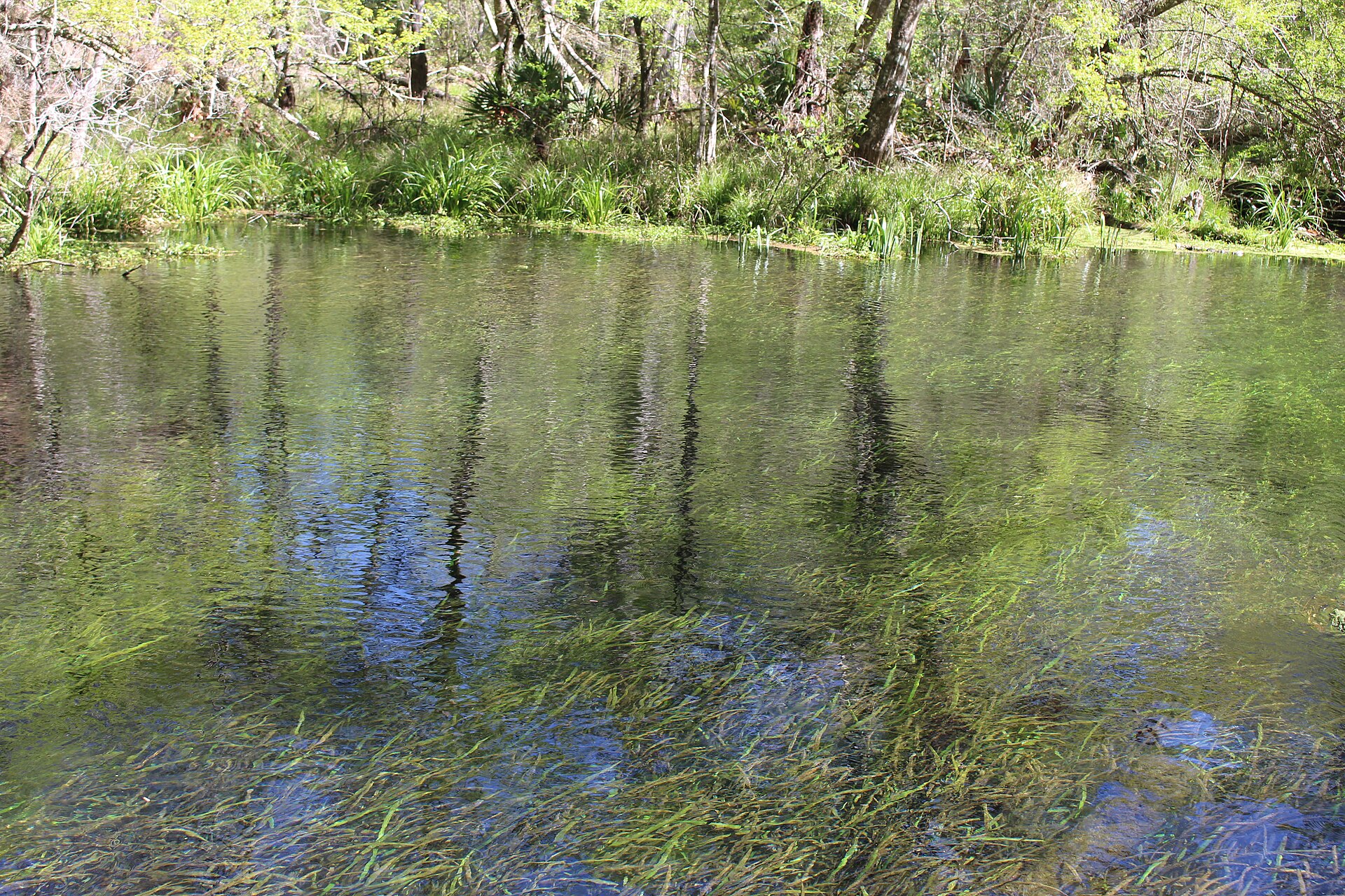 Ichetucknee Springs Florida, empty of people