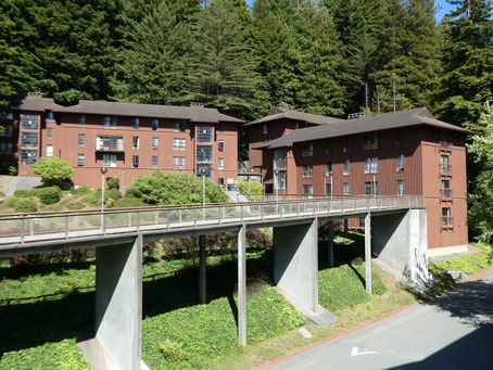 Northtown Coffee Has Poured in a 1925 House Near the Cal Poly Humboldt Footbridge