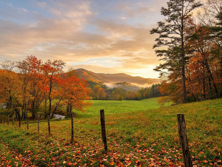 Ellijay Ga Mountains Backroad