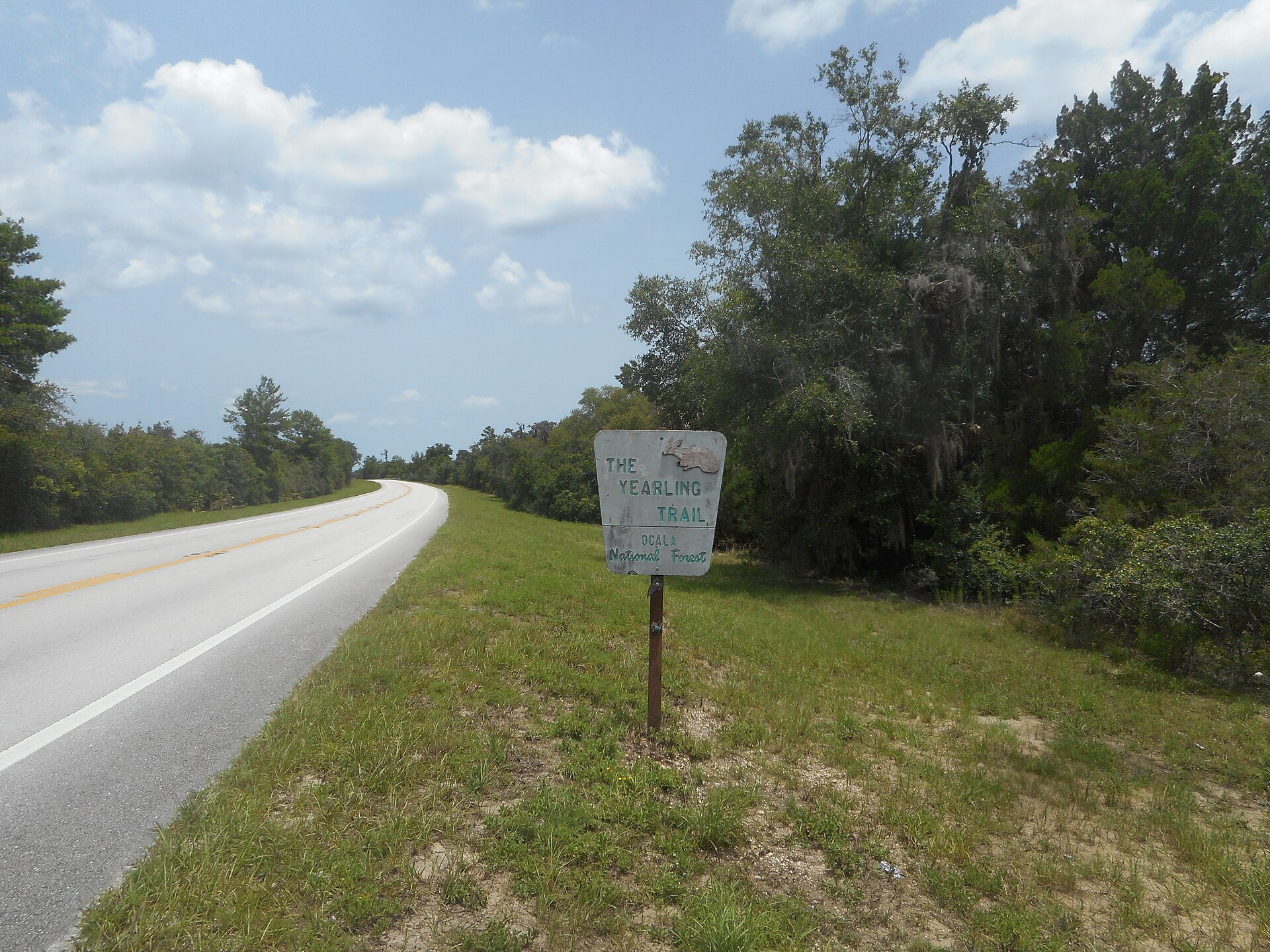 Ocala National Forest trail, empty of people