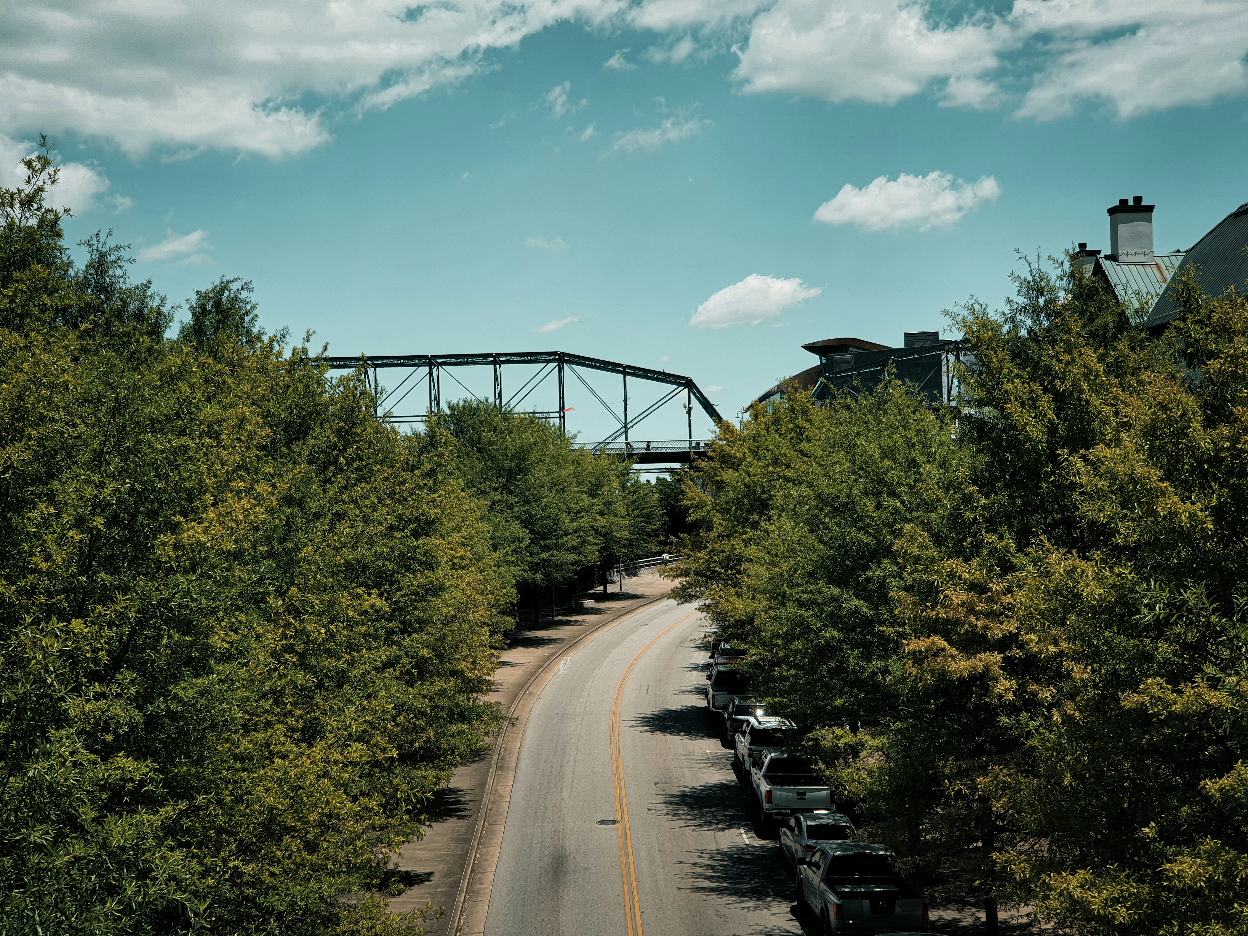 A road through a Chattanooga, Tennessee neighborhood lined with trees, representative of the residential areas where typical independent short-term rental listings are located
