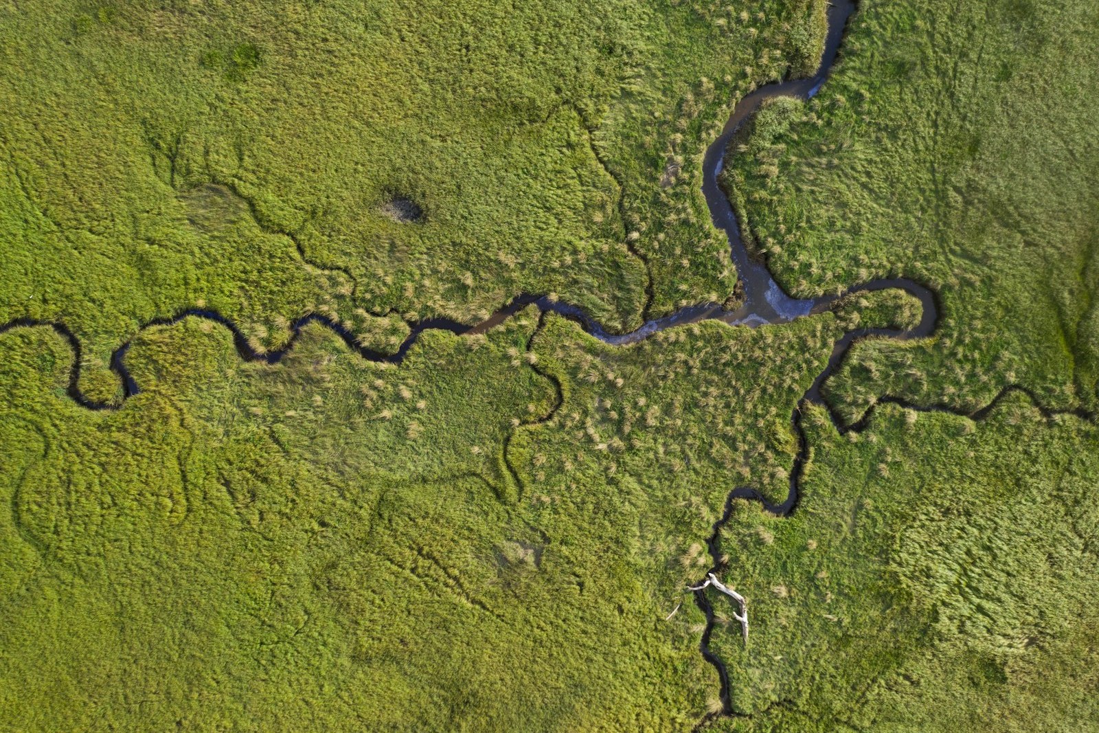 a river running through a lush green field, empty of people