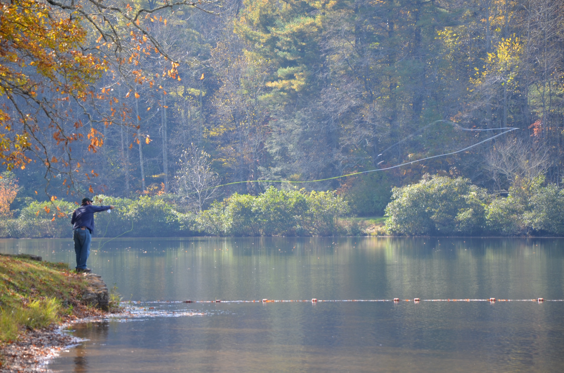 Angler fly casting at a mountain lake in fall color