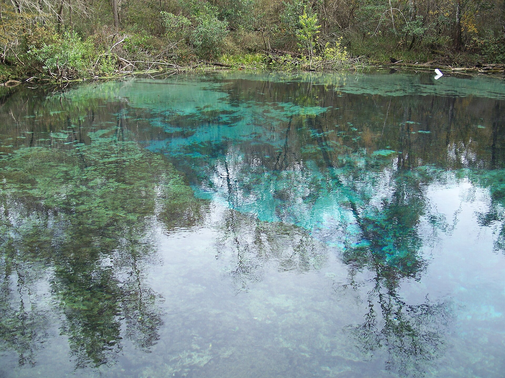 Ichetucknee Springs Florida, empty of people