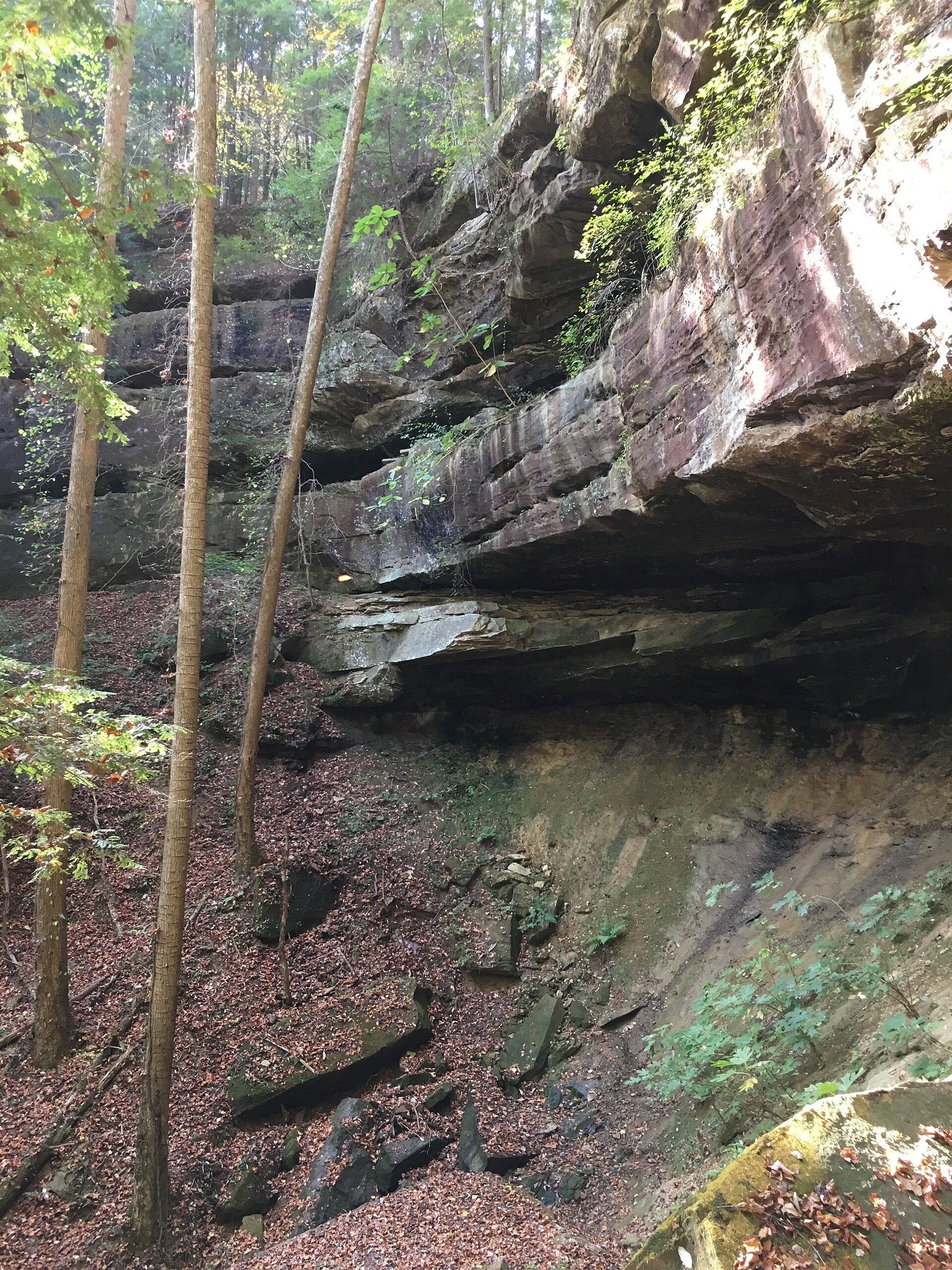Sipsey Wilderness waterfall, empty of people