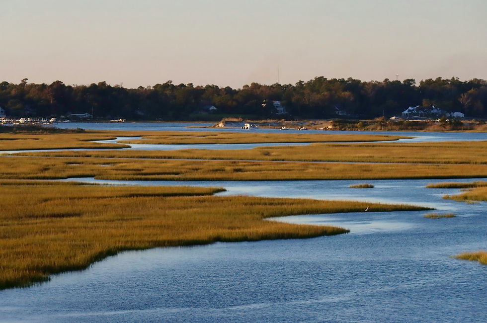 Golden marsh grasses bordering a calm tidal river