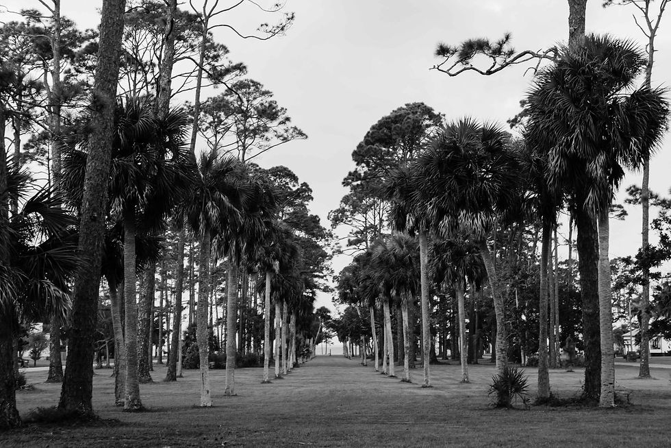 Port St Joe, Florida
