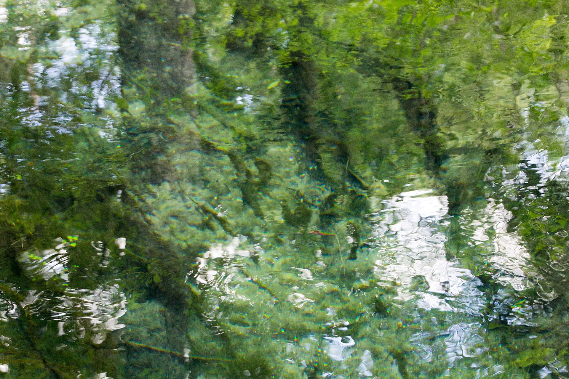 Ichetucknee Springs Florida, empty of people