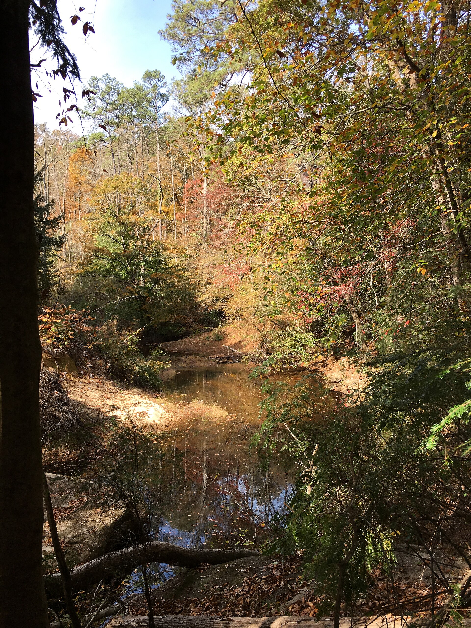 Sipsey Wilderness 2016, empty of people