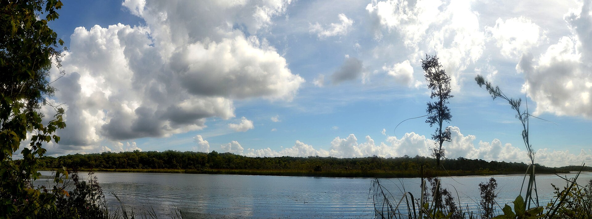 Ocala National Forest trail, empty of people