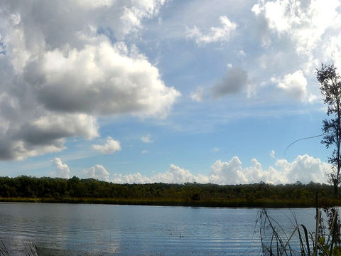 Ocala National Forest trail, empty of people