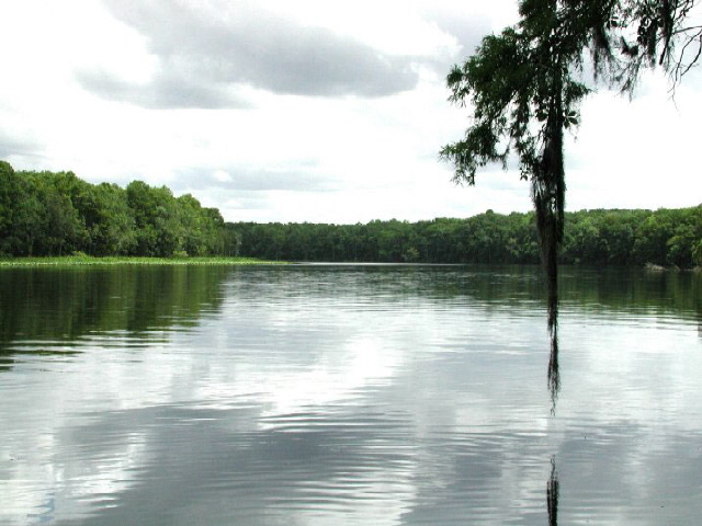 Suwannee River Florida, empty of people