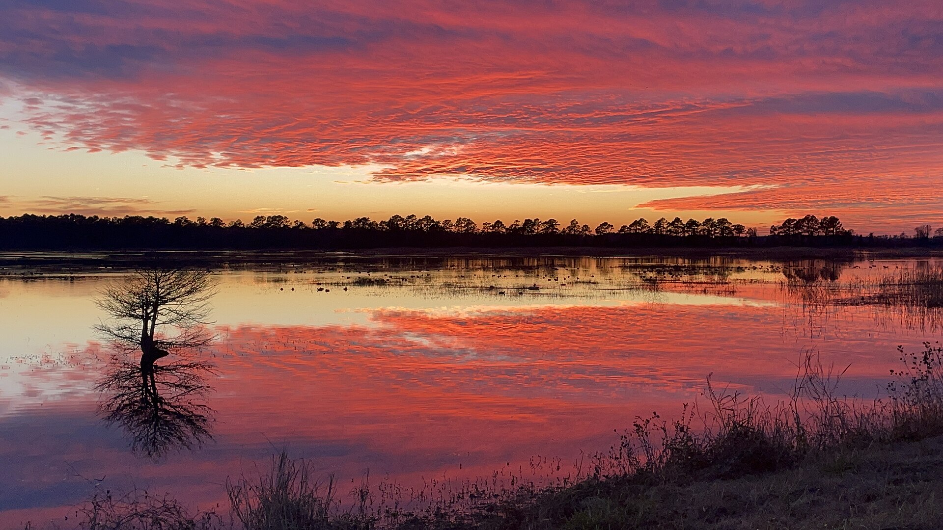 Sunset over a southeastern marsh, empty of people