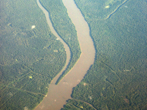 Atchafalaya Basin Louisiana swamp, empty of people