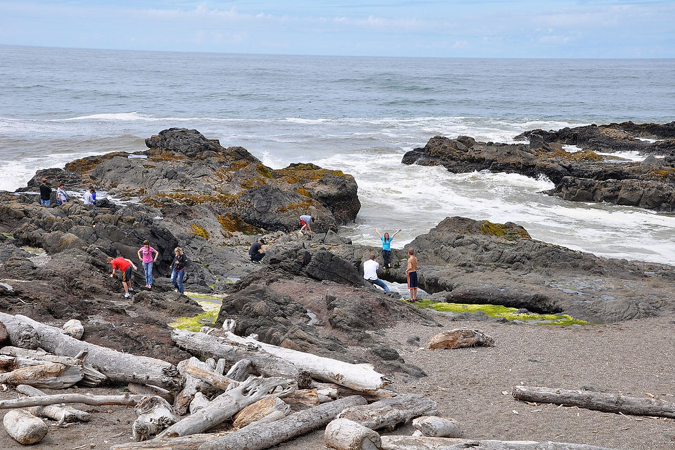 Rocky Pacific shore at Yachats State Recreation Area, Oregon. Wikimedia: Yachats State Recreation Area.