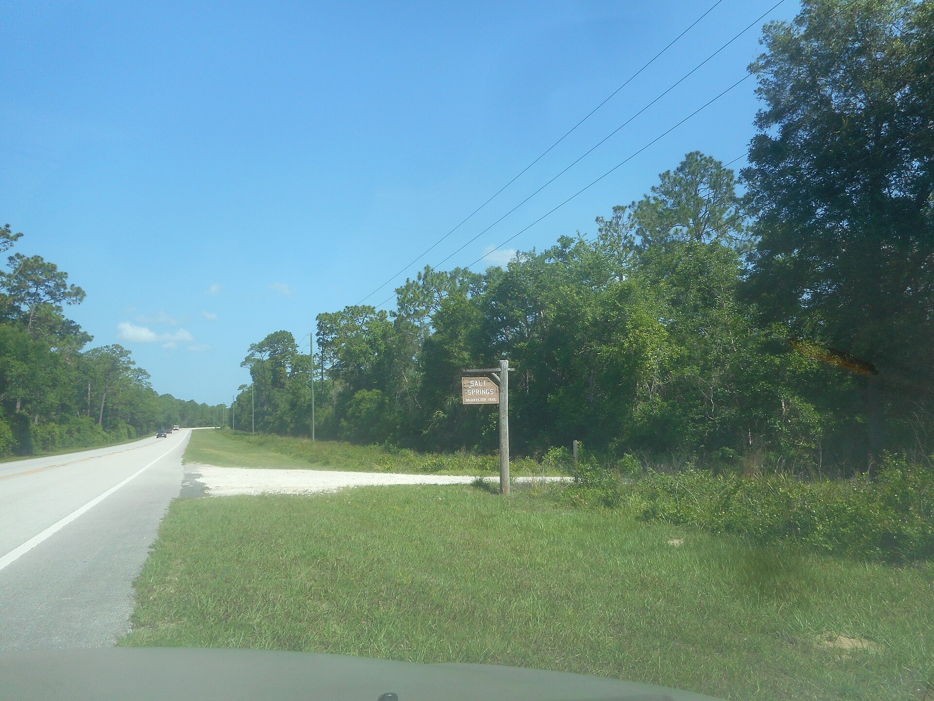 Ocala National Forest trail, empty of people