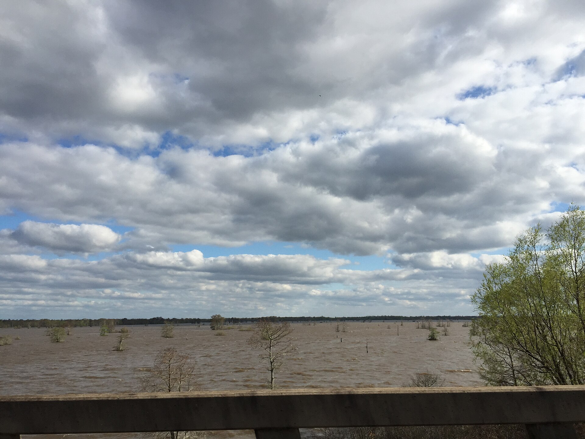 Atchafalaya Basin Louisiana swamp, empty of people