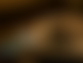 A New Cafe and AI Search: What Ninety Days Looks Like