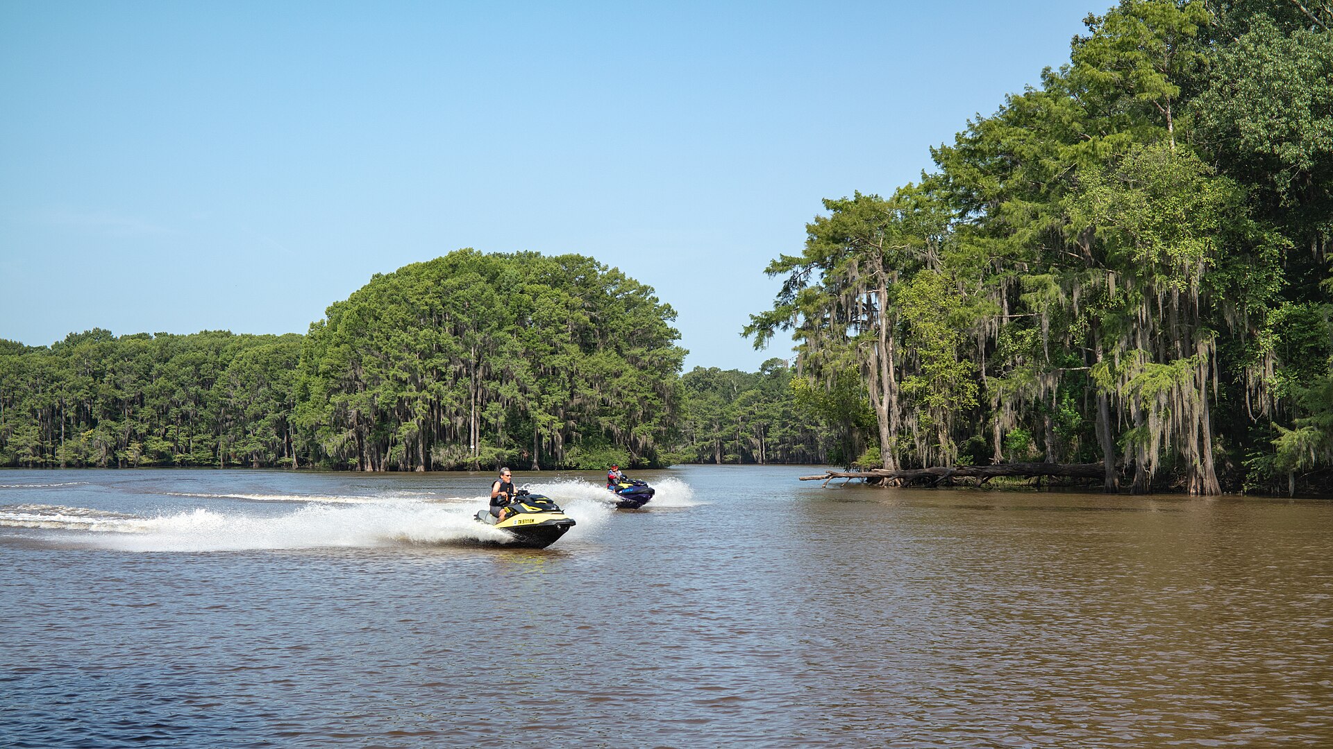Caddo Lake Texas cypress, empty of people