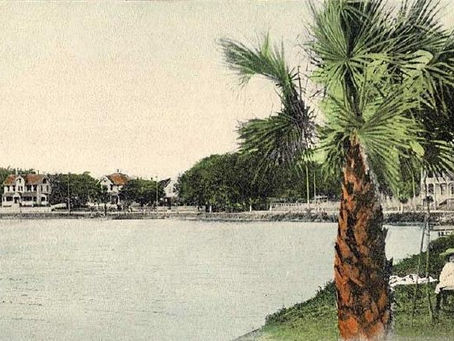 Lake Lucerne, Orlando — water and trees, no people as subject