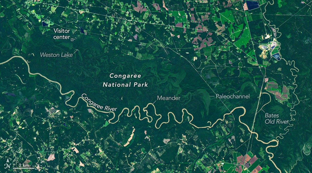 Congaree National Park floodplain, empty of people