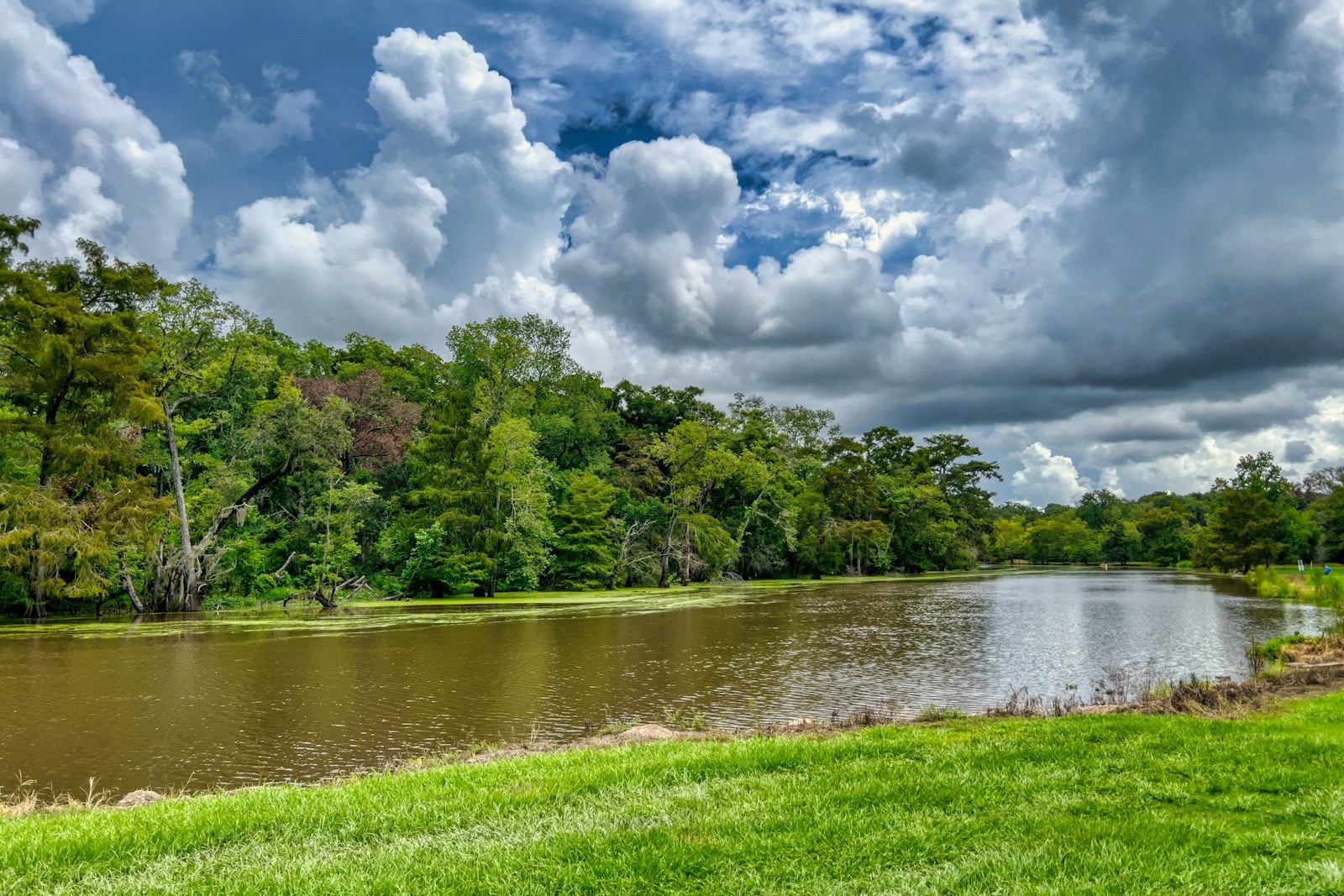 a body of water surrounded by lush green trees, empty of people
