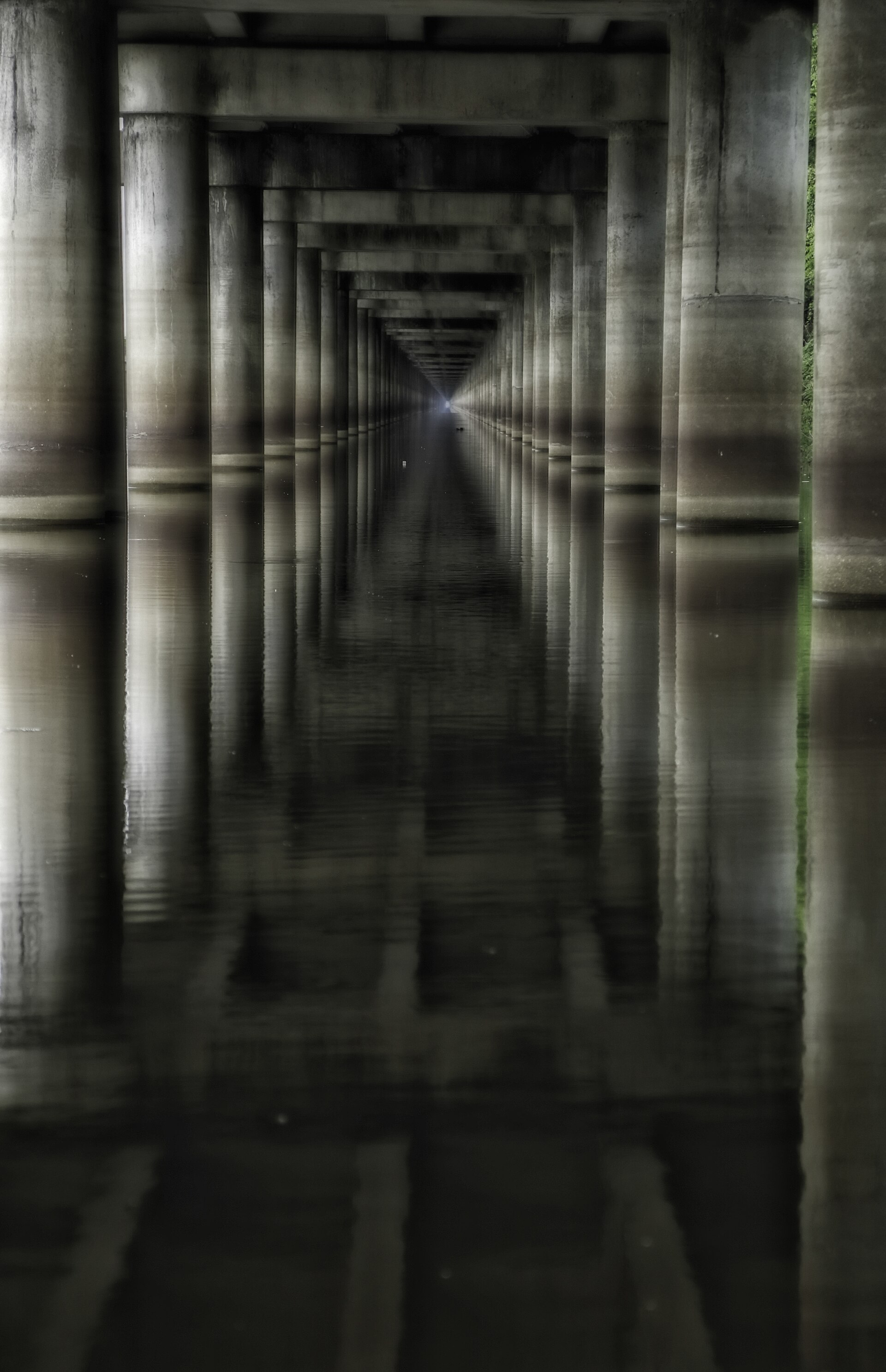 Atchafalaya Basin Louisiana swamp, empty of people