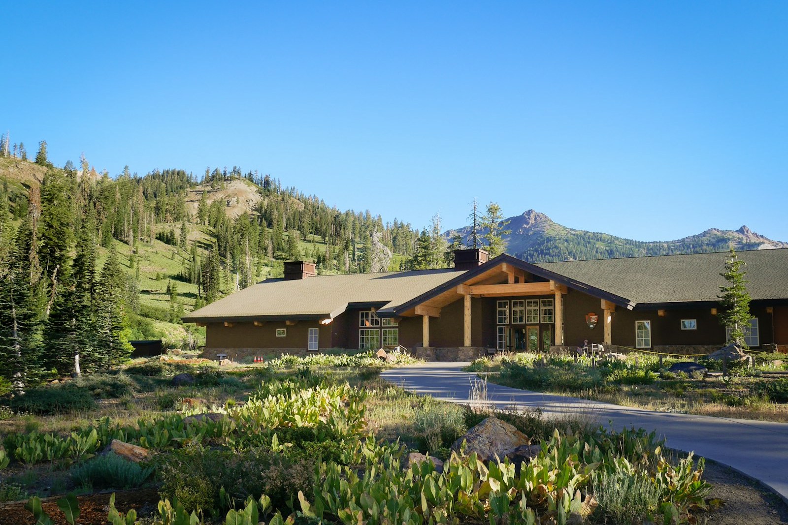 Modern lodge nestled in a mountain forest landscape, empty of people