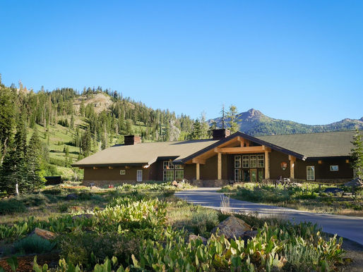 Modern lodge nestled in a mountain forest landscape, empty of people