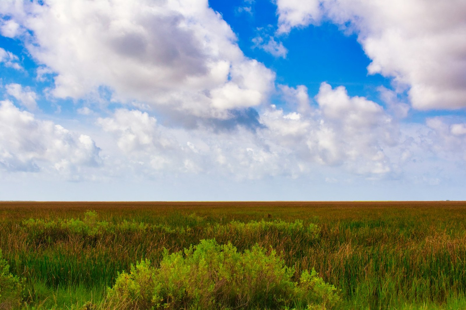 green grass field under blue sky and white clouds during daytime, empty of people