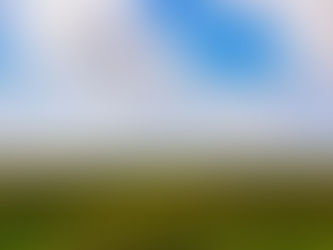 green grass field under blue sky and white clouds during daytime, empty of people