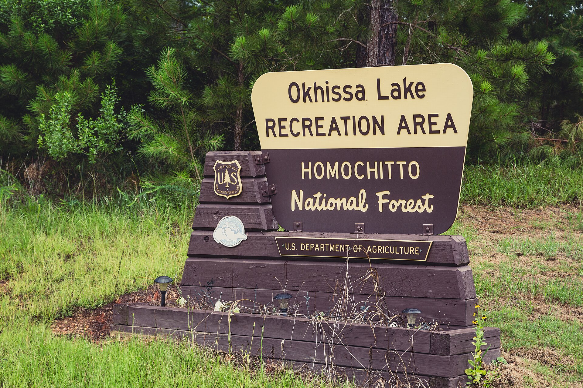 Homochitto National Forest, empty of people