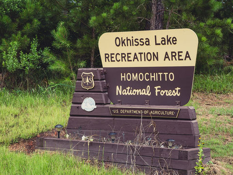 Homochitto National Forest, empty of people