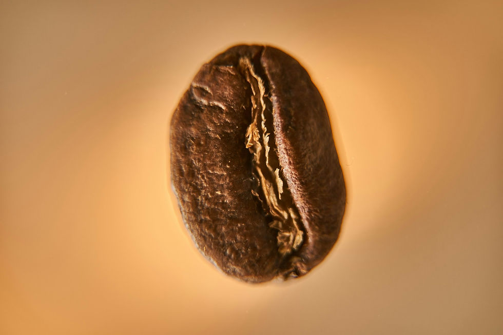 A close up of a coffee bean on a table